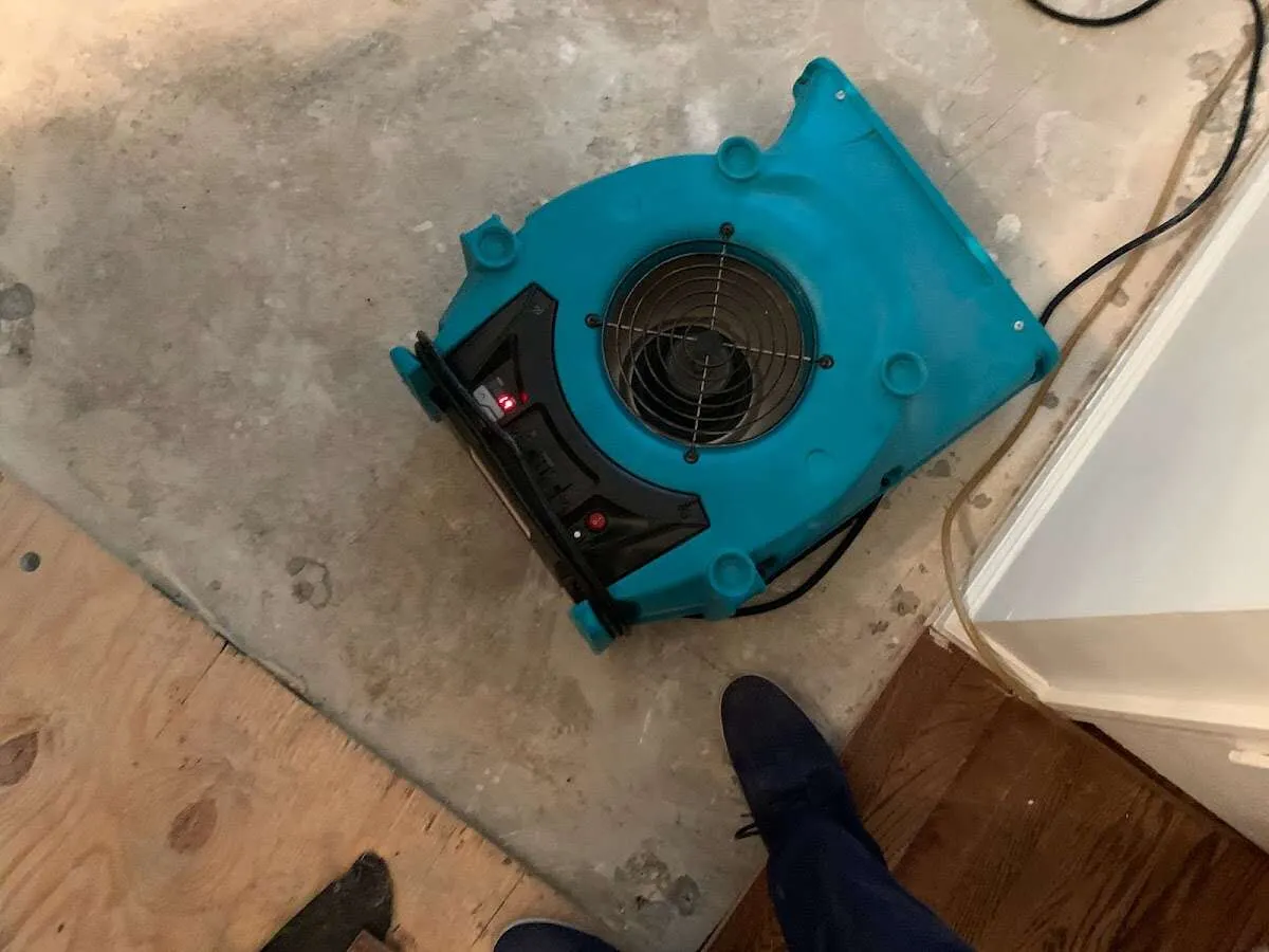 Air mover drying subfloor during Leak Detection & Repair in South Daytona