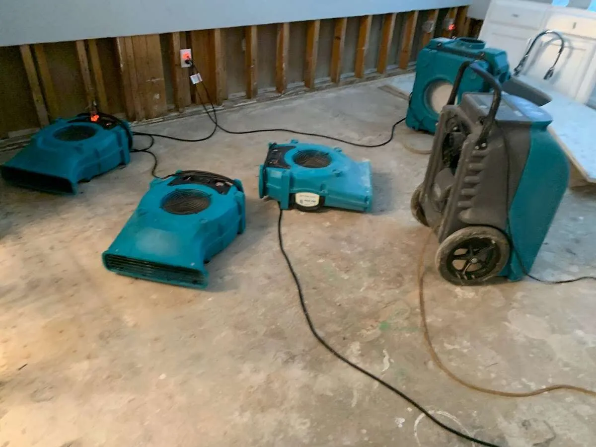 Water Damage Restoration services in South Daytona, FL
